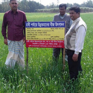 গম প্রদর্শনী