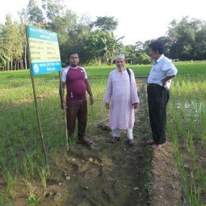 রাজস্ব প্রদর্শনী