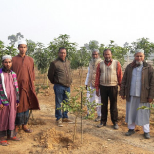 আইএএনএফপি'র কার্যক্রম
